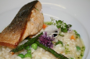 Filey Bay Sea Trout and summer risotto